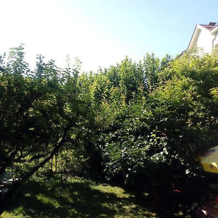 Vila Dudan Охрид Екстер'єр фото