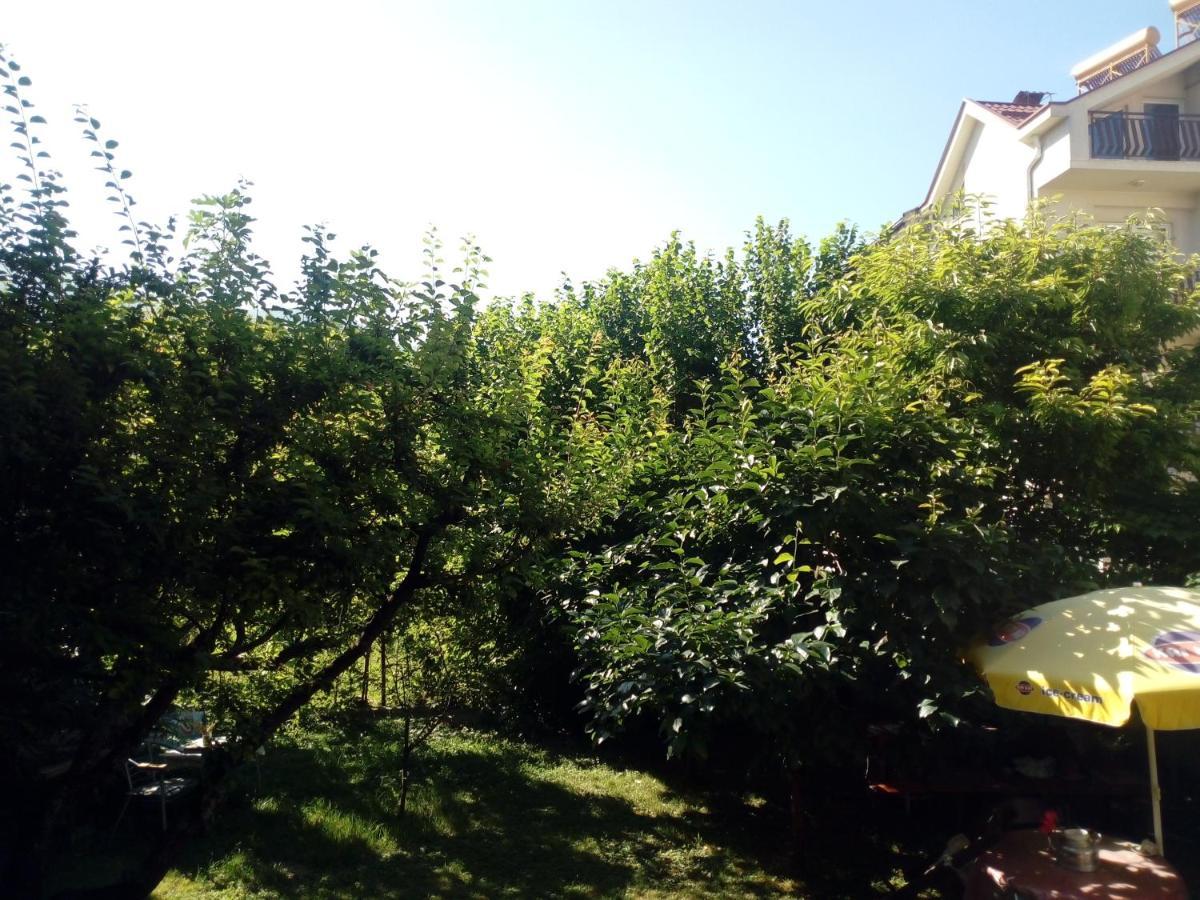 Vila Dudan Охрид Екстер'єр фото